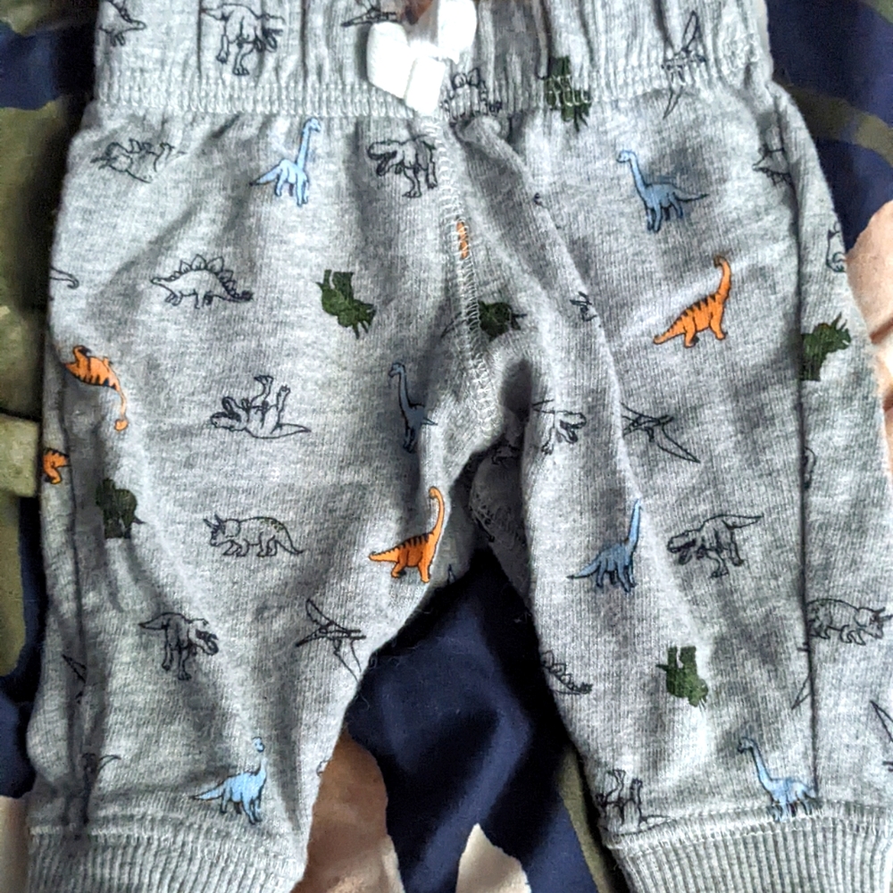 Carter's dinosaur Sweatpants